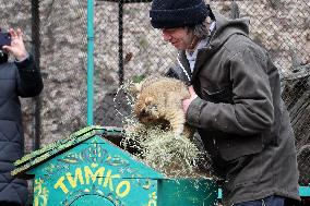 20th Groundhog Day marked in Kharkiv region