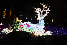 Visitors View Lanterns at Bailuzhou Park in Nanjing