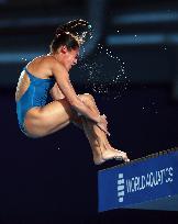 (SP)QATAR-DOHA-DIVING-WORLD AQUATICS CHAMPIONSHIPS-MIXED TEAM