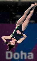 (SP)QATAR-DOHA-DIVING-WORLD AQUATICS CHAMPIONSHIPS-MIXED TEAM