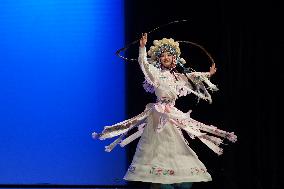 ARGENTINA-HAPPY CHINESE NEW YEAR-PERFORMANCES