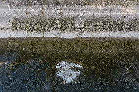 Drought In Catalonia: The Urgell Canal.