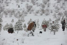 AFGHANISTAN-KABUL-SNOW