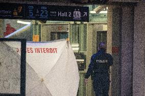 Knife attack at Gare de Lyon railway station in Paris