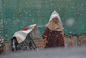 Snowfall In Srinagar, Kashmir