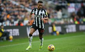 Newcastle United v Luton Town - Premier League