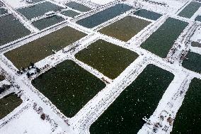 Fishing Base Snow Scenery in Yuncheng