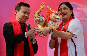 Chinese New Year Of The Dragon In Mexico