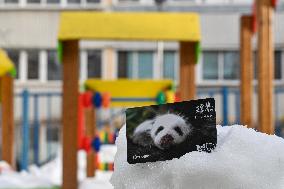 RUSSIA-MOSCOW-SUBWAY-TRAVEL CARD-GIANT PANDA