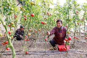 #CHINA-LICHUN-FARM WORK (CN)