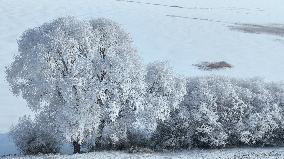 Rime Landscape