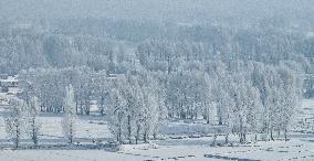 Rime Landscape