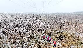 Power Supply Inspect After Snow in Chuzhou