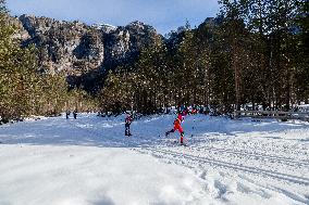 47th Dobbiaco-Cortina Cross Country Race