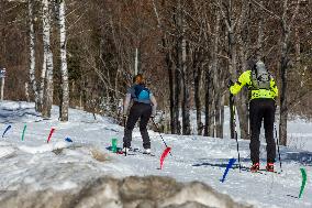 Cross-country Skiing In The Dolomites