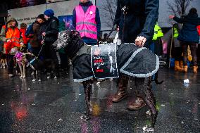 Protest Against The Abuse Of Hunting Dogs In Spain Organized In Utrecht.