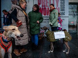 Protest Against The Abuse Of Hunting Dogs In Spain Organized In Utrecht.