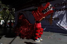 Chinese New Year Of The Dragon In Mexico City