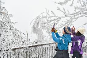 Tourists View Rime at in Nanjing