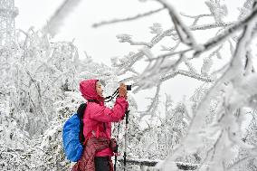 Tourists View Rime at in Nanjing
