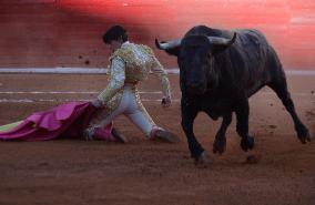 Bullfights Return To Mexico City