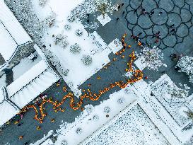 Dragon Lantern Performance in Hefei