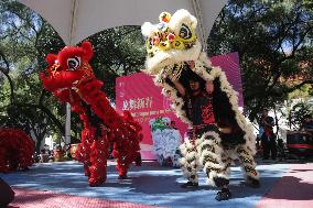 MEXICO-MEXICO CITY-SPRING FESTIVAL-CULTURAL EVENT