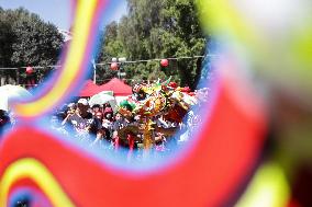 MEXICO-MEXICO CITY-SPRING FESTIVAL-CULTURAL EVENT