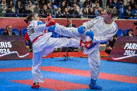 Paris Open Karate