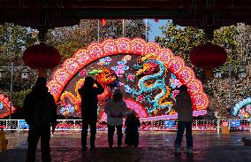CHINA-SHANDONG-JINAN-SPRING FESTIVAL-LIGHT INSTALLATIONS (CN)