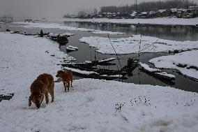 River Jhelum In Kashmir
