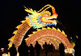 Dragon-themed Lanterns Fair at Summer Resort