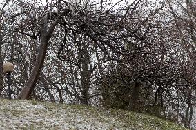 Snowfall in Kyiv