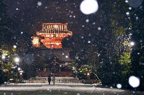 Snowfall in Tokyo region