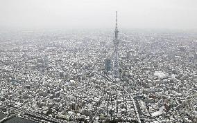 Snowfall in Tokyo