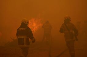 CHILE-VINA DEL MAR-FOREST FIRES-DEATH TOLL