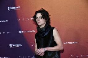 Dune: Part Two Film Photocall