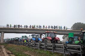 Tractors Block Spanish Roads To Demand Improvements In The Sector