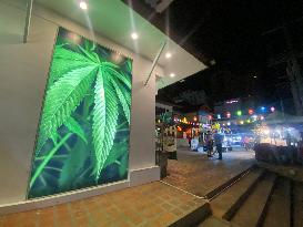Thailand First Asian Country To Legalize Marijuana