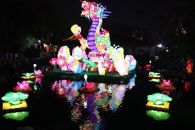 Baotu Spring Lantern Fair in Jinan