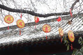 Baotu Spring Lantern Fair in Jinan