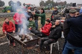 Blockade Of Catalan Farmers And Ranchers In The Province Of Lleida.