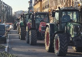 Farmers Join Wave Of Protests - Spain