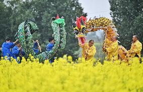 (MASTER OF CRAFTS)CHINA-SICHUAN-LUZHOU-YUTAN DRAGON DANCE-INHERITOR (CN)