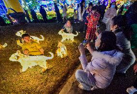 Lantern Fair in Nanning