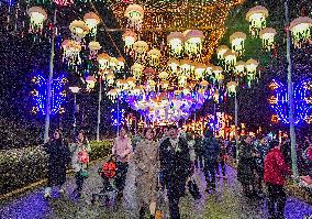 Lantern Fair in Nanning