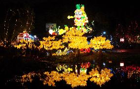 Tourists visit the 2024 Lunar Year Lantern Fair in Nanning