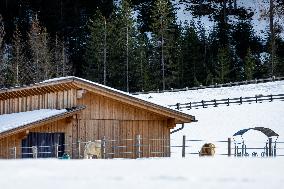 Winter In The Dolomites