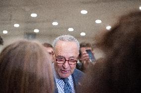 Schumer Speaks To The Press - Washington