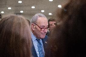 Schumer Speaks To The Press - Washington